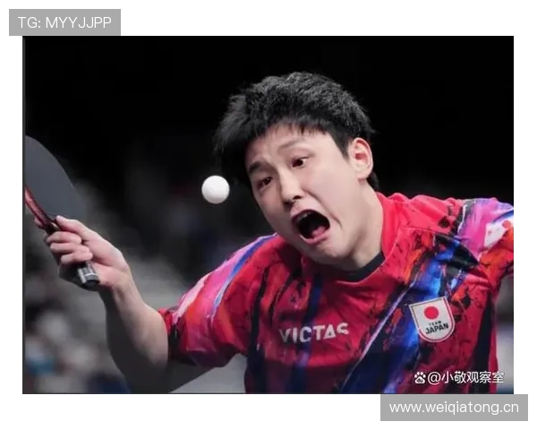 张本智和才是真正日本王牌